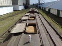 Россия установит льготный ж/д тариф для экспорта зерна
